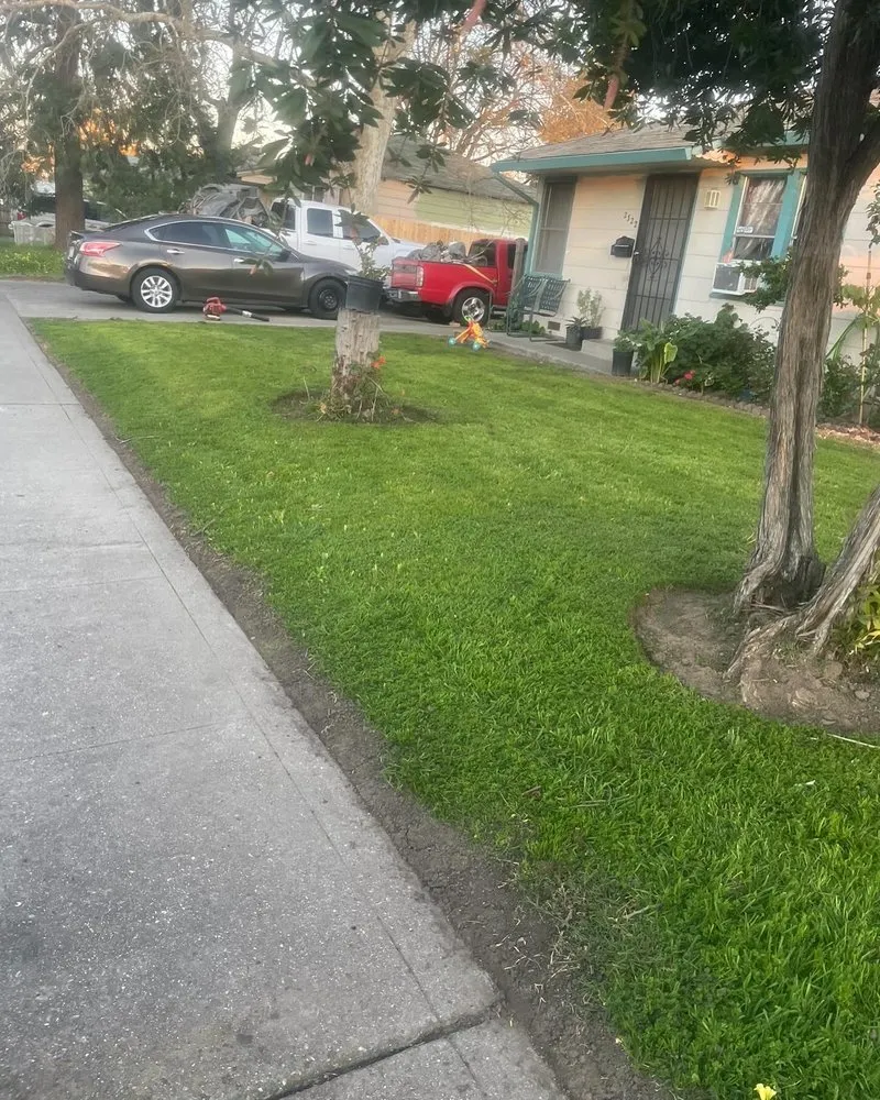 Local residential landscaping in Stockton, CA - Mtz Lawn Care