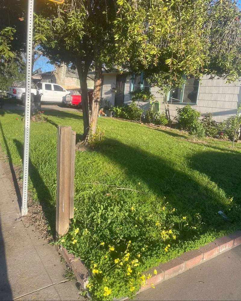 Trusted garden landscaping in Stockton, CA - Mtz Lawn Care