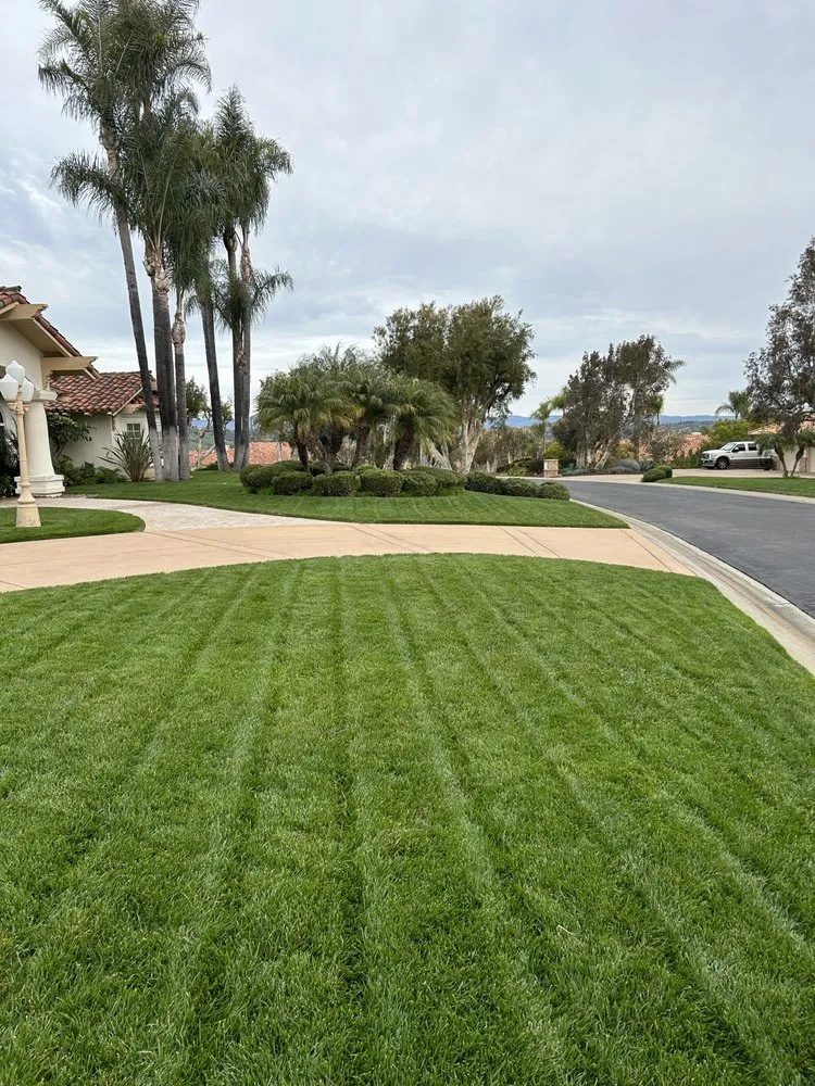 Local landscaping services experts serving Fallbrook, CA - Mtz Lawncare