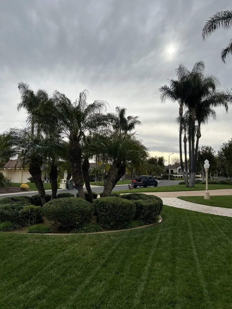 Top-rated yard maintenance near you across Fallbrook, CA - Mtz Lawncare