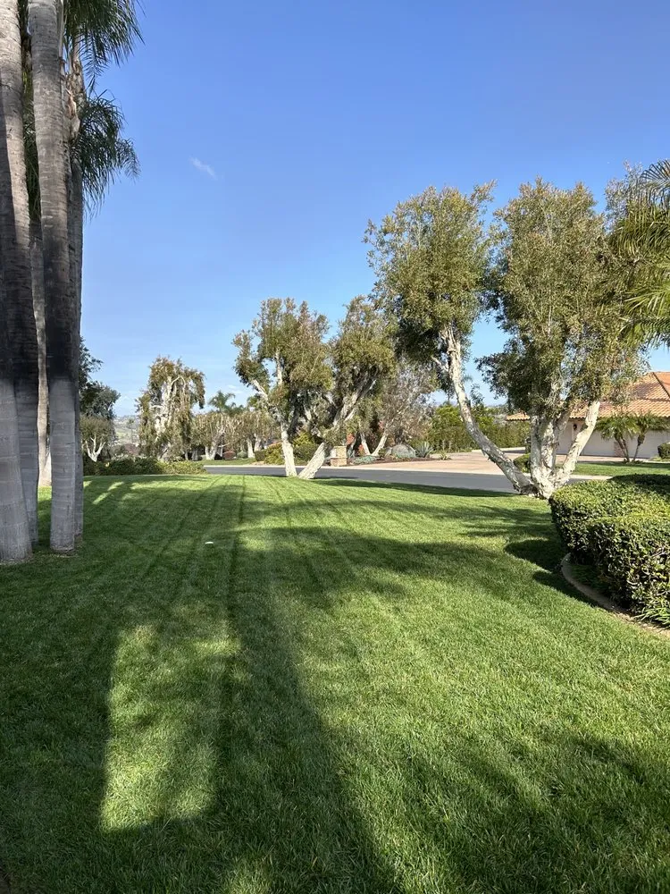 Affordable landscaping services in Fallbrook, CA - Mtz Lawncare