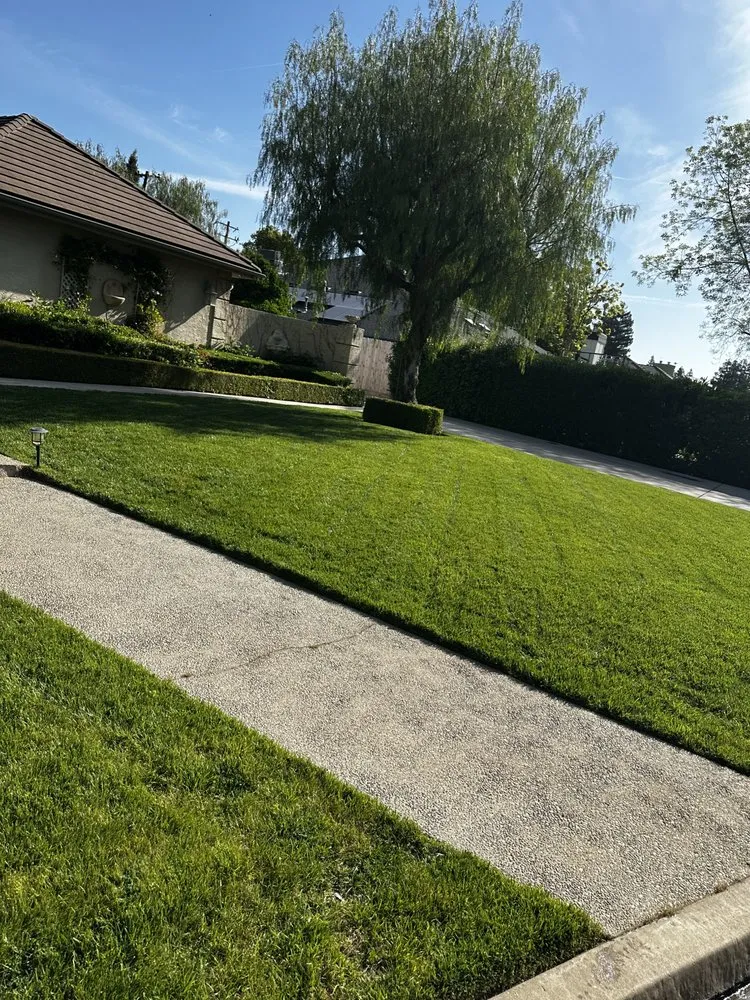 Custom lawn care service experts serving Fresno, CA - MTZ Lawncare
