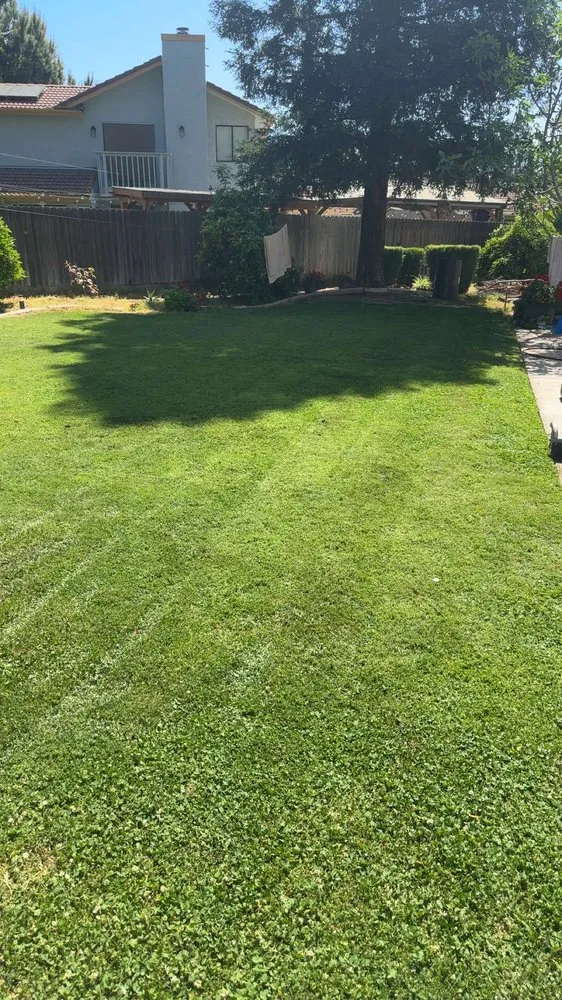 Top-rated outdoor landscaping for homes in Fresno, CA by MTZ Lawncare