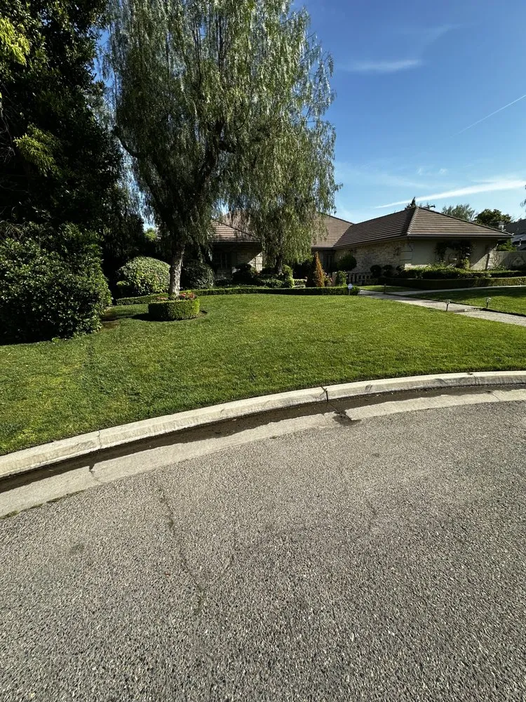 Professional garden landscaping in Fresno, CA by MTZ Lawncare