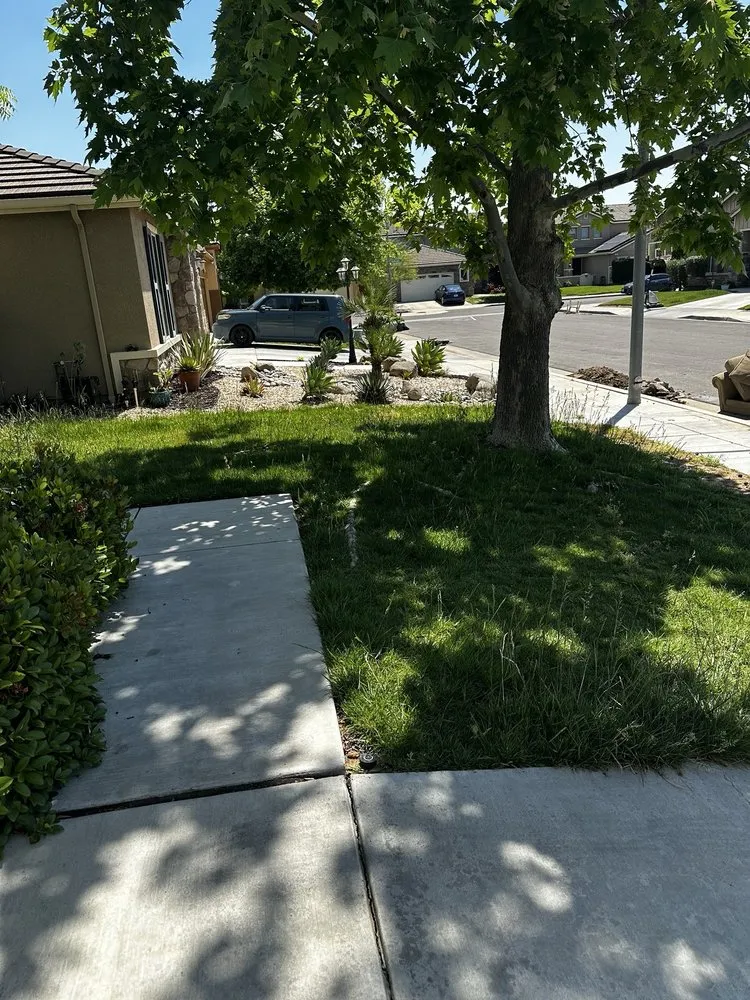 Affordable yard maintenance in Fresno, CA by MTZ Lawncare