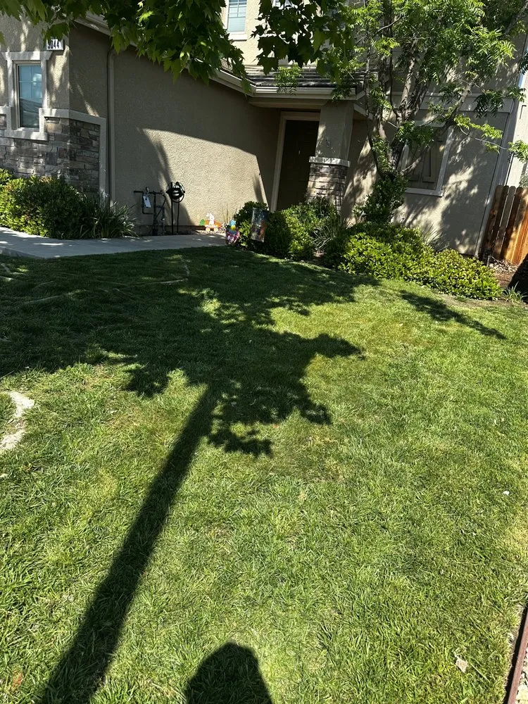 Local residential landscaping for year-round maintenance in Fresno, CA by MTZ Lawncare