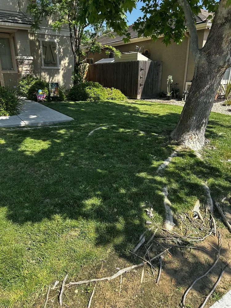 Custom landscape design for year-round maintenance across Fresno, CA - MTZ Lawncare