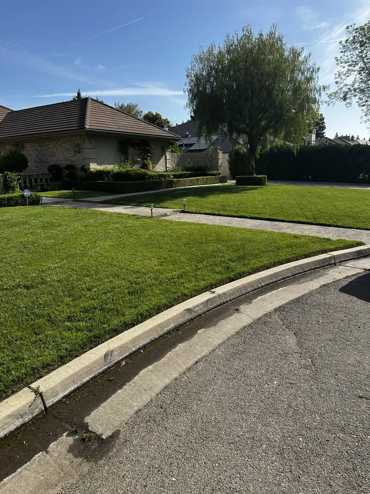 Trusted lawn mowing service in Fresno, CA by MTZ Lawncare