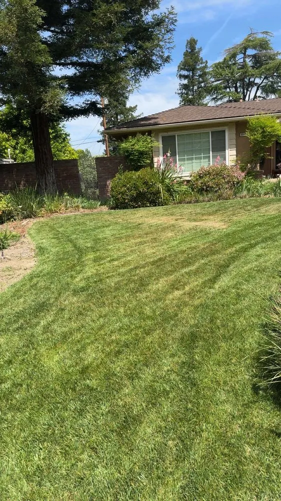 Reliable landscape design in Fresno, CA by MTZ Lawncare