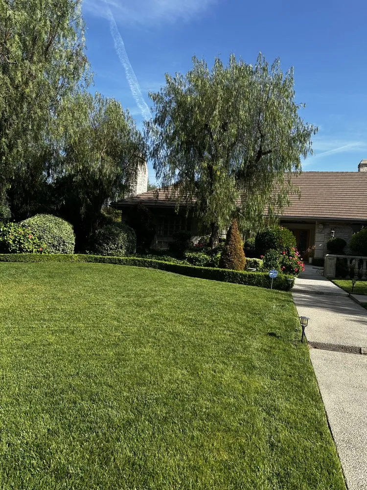 Affordable residential landscaping for year-round maintenance across Fresno, CA - MTZ Lawncare