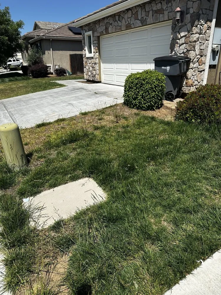 Affordable landscape installation in Fresno, CA - MTZ Lawncare