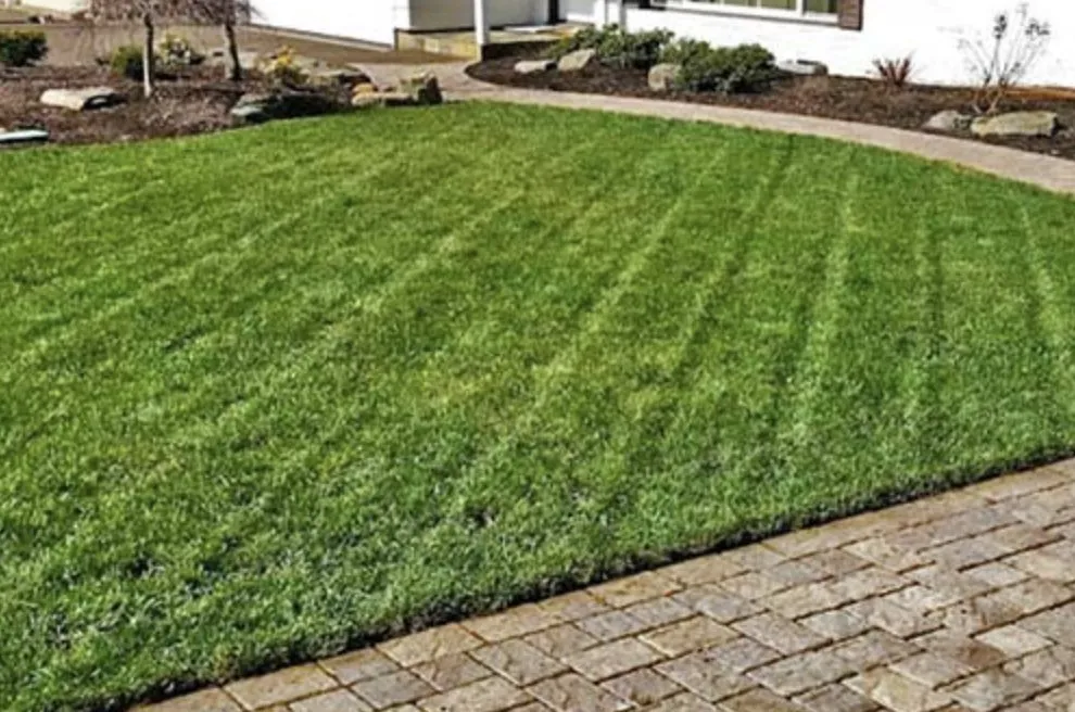 Local lawn care service with custom design in Stockton, CA by MTZ Lawncare