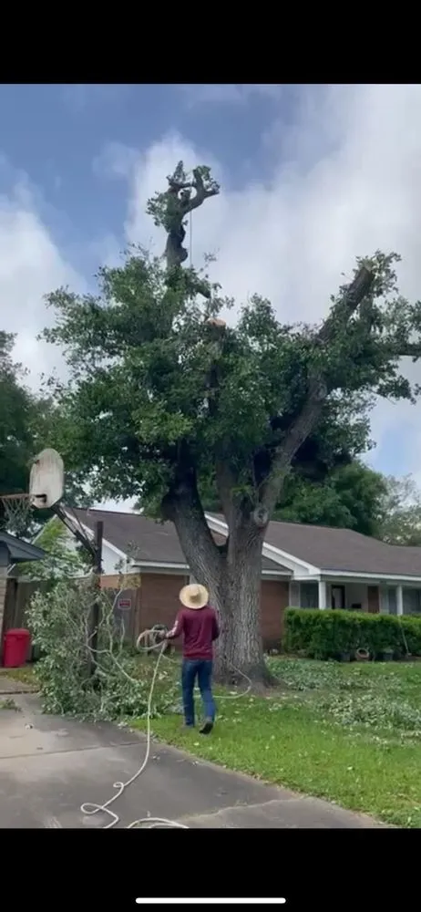 Custom lawn mowing service in Needville, TX by Mtz Solutions