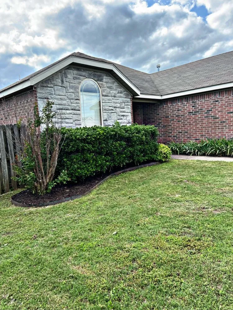 Expert landscaping services with custom design in Springdale, AR by MTZ