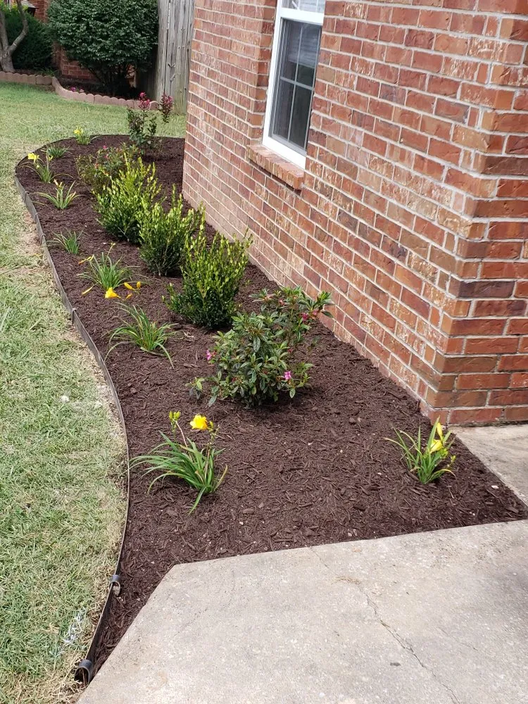Affordable lawn care service experts serving Springdale, AR - MTZ