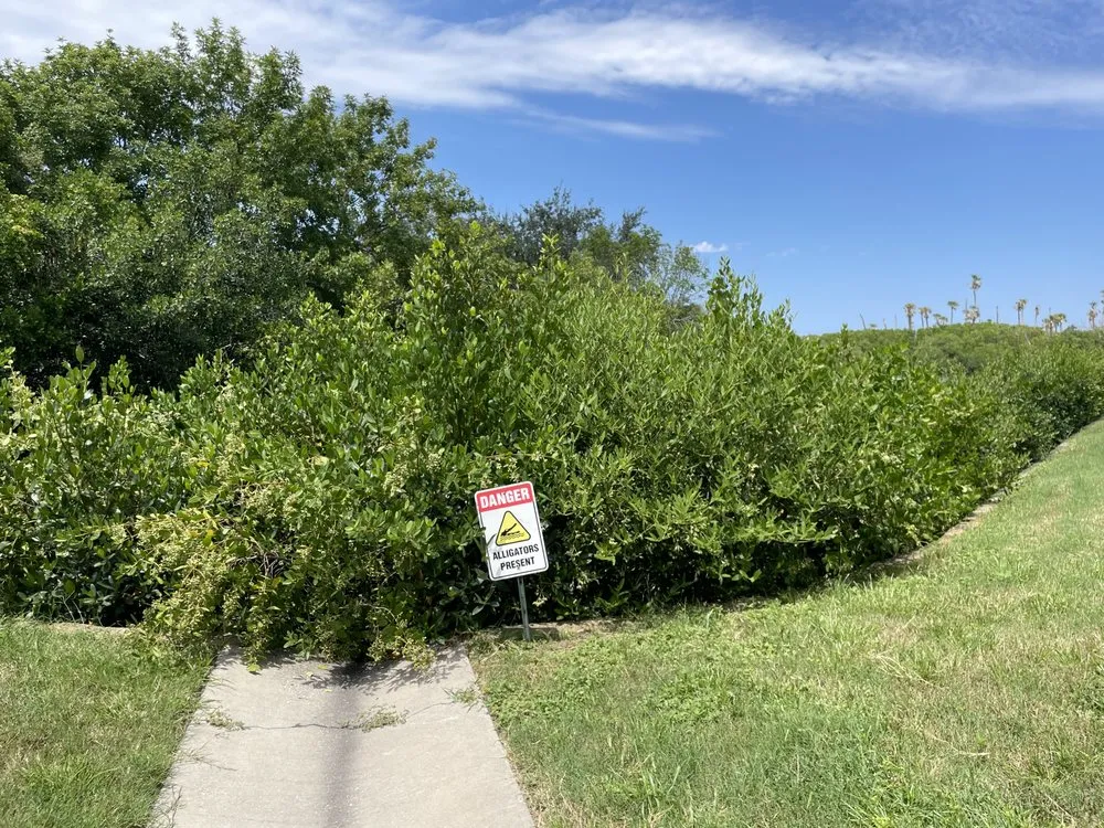 Top-rated yard maintenance with custom design across Holiday, FL - Mu-Grow Brothers