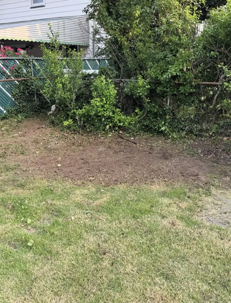 Trusted yard maintenance for year-round maintenance in Paramus, NJ by Muccis Lawncare