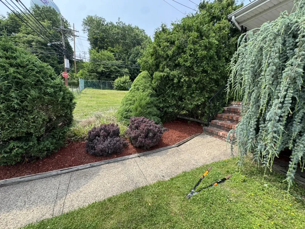 Trusted yard maintenance for homes across Paramus, NJ - Muccis Lawncare