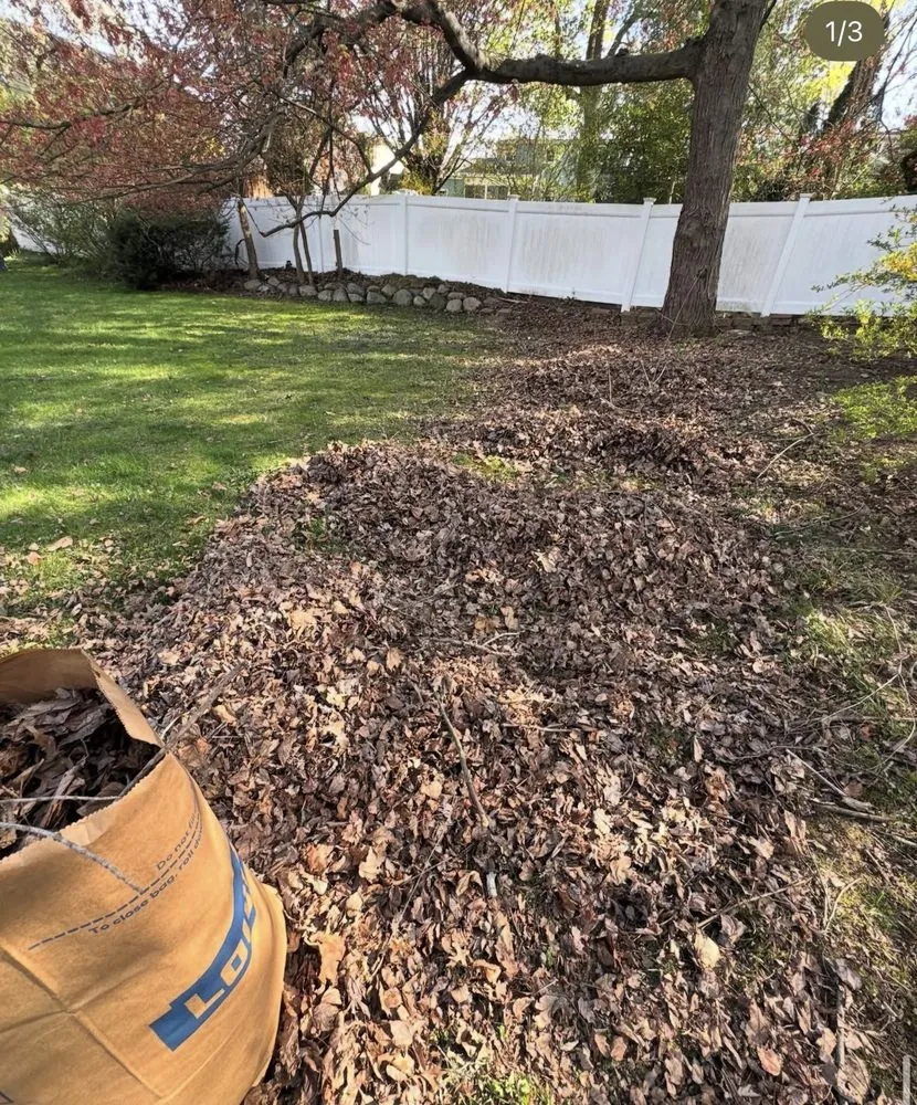 Reliable lawn mowing service for outdoor upgrades across Paramus, NJ - Muccis Lawncare