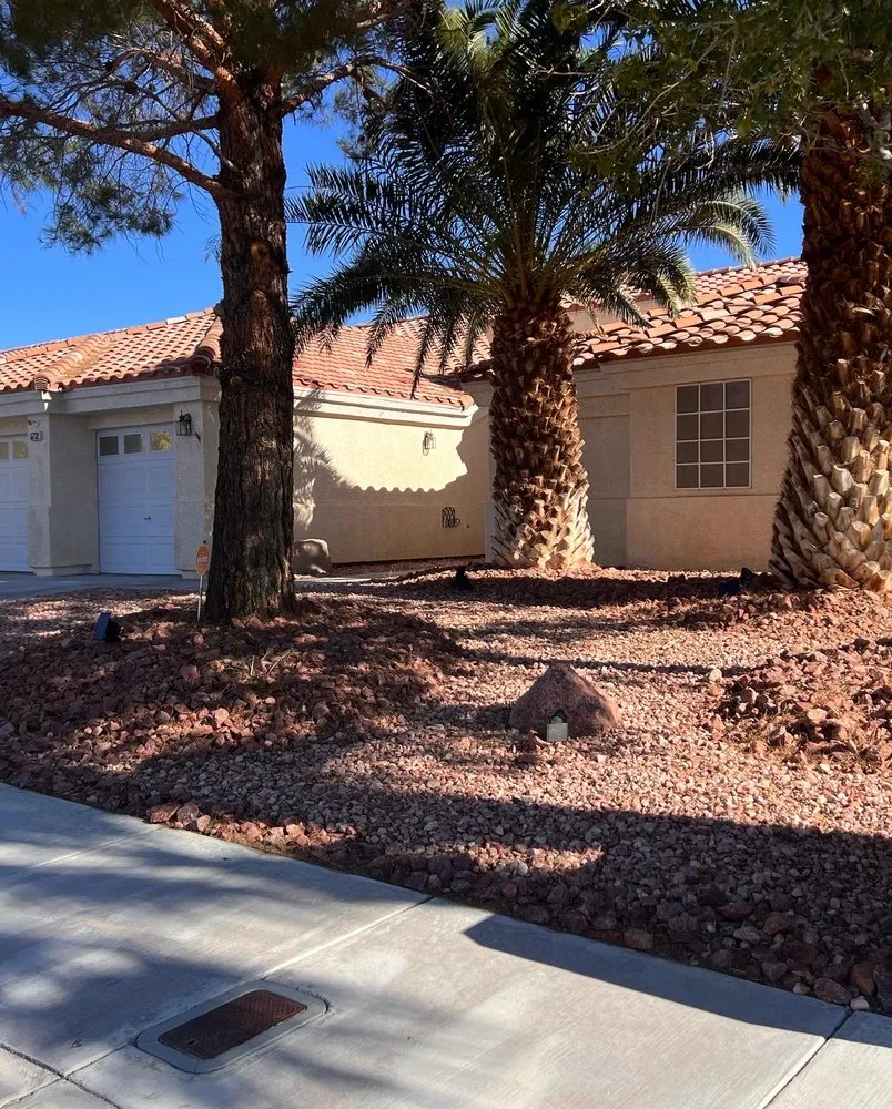 Top-rated landscape installation in Las Vegas, NV by Much Better Landscape