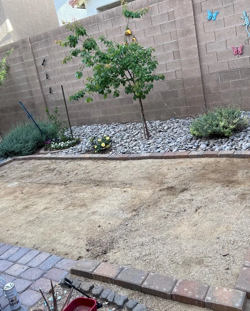 Top-rated residential landscaping for beautiful yards in Las Vegas, NV by Much Better Landscape