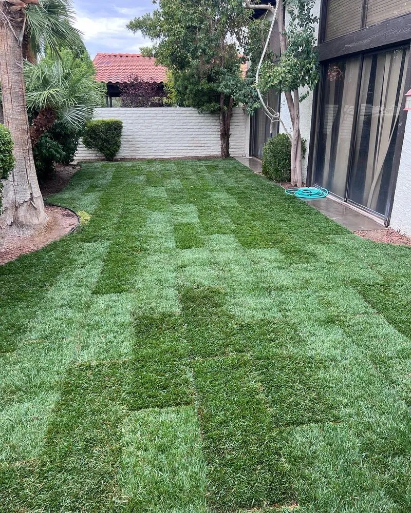 Professional landscape design in Las Vegas, NV - Much Better Landscape