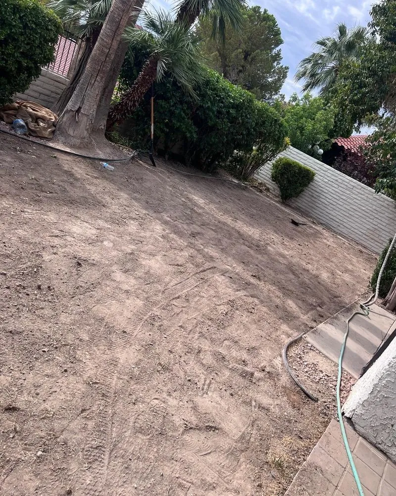 Local garden landscaping in Las Vegas, NV - Much Better Landscape