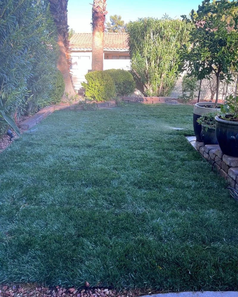 Trusted landscape installation in Las Vegas, NV - Much Better Landscape