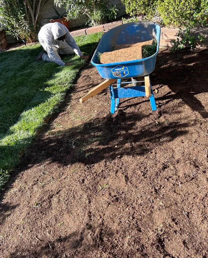 Reliable lawn care service for beautiful yards across Las Vegas, NV - Much Better Landscape