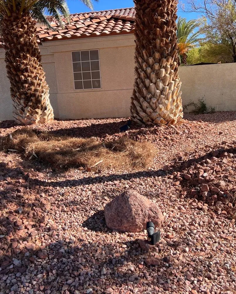 Reliable lawn care service in Las Vegas, NV - Much Better Landscape