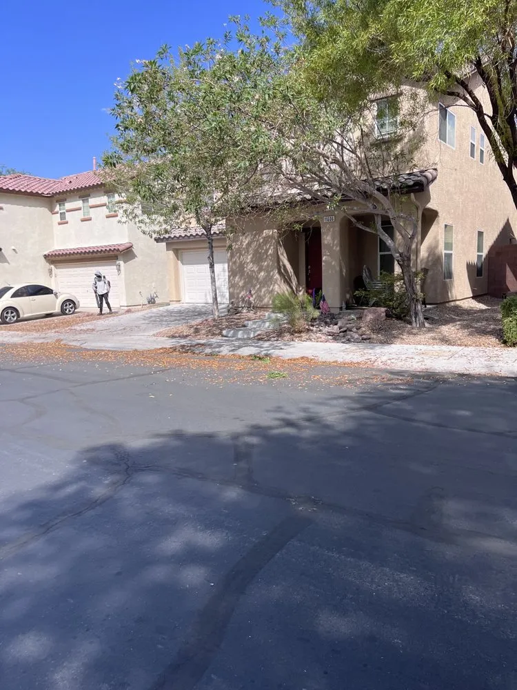 Custom yard cleanup service in Las Vegas, NV - Much Better Landscape