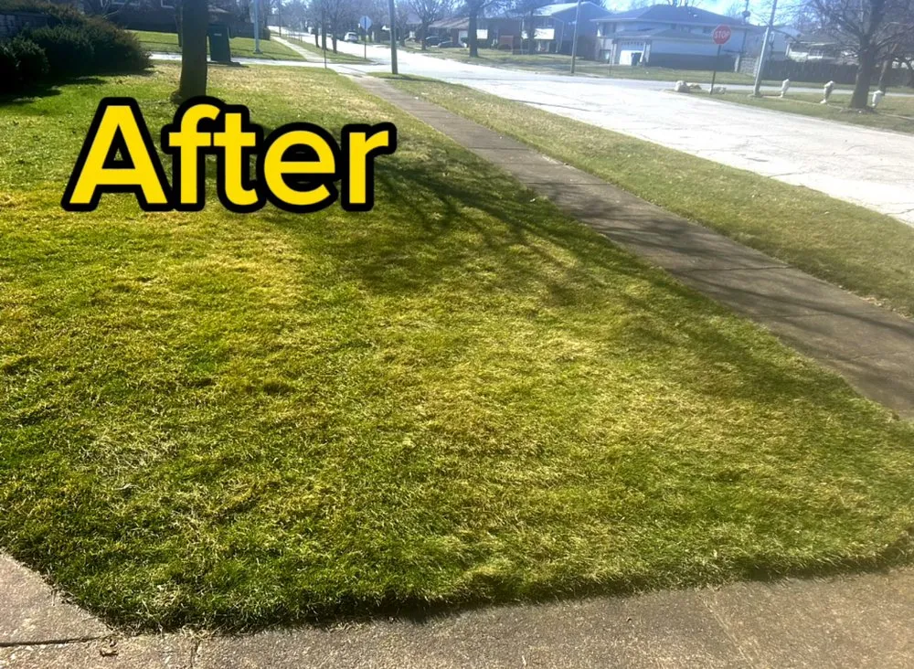 Top-rated landscape installation experts serving Gary, IN - Mud Brothers Edging