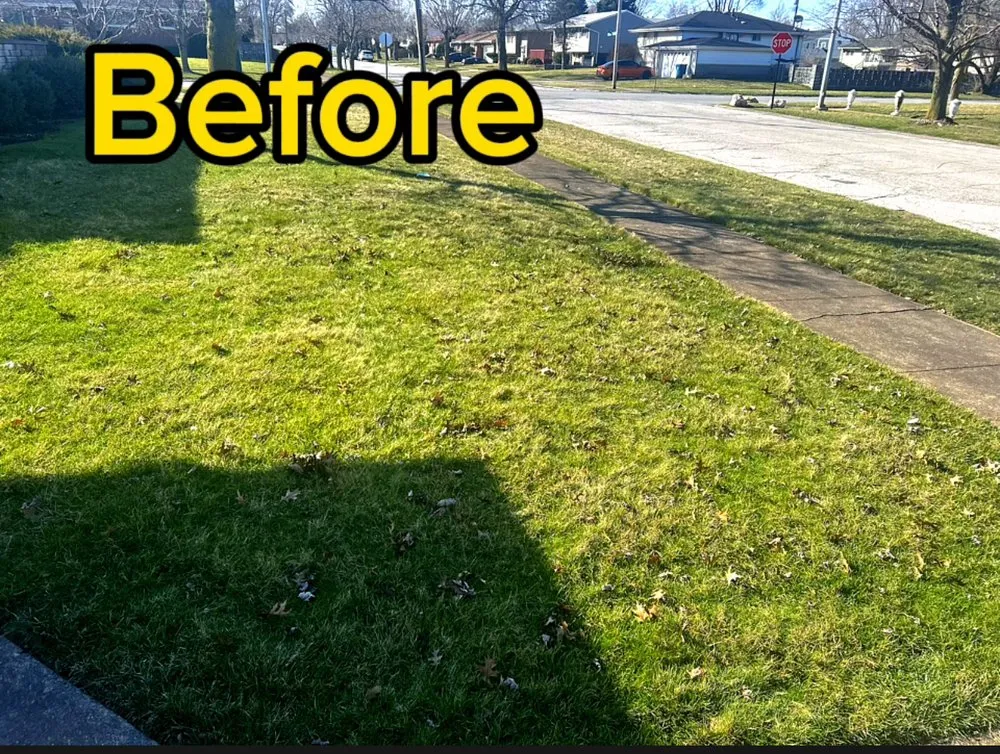 Affordable yard maintenance in Gary, IN - Mud Brothers Edging