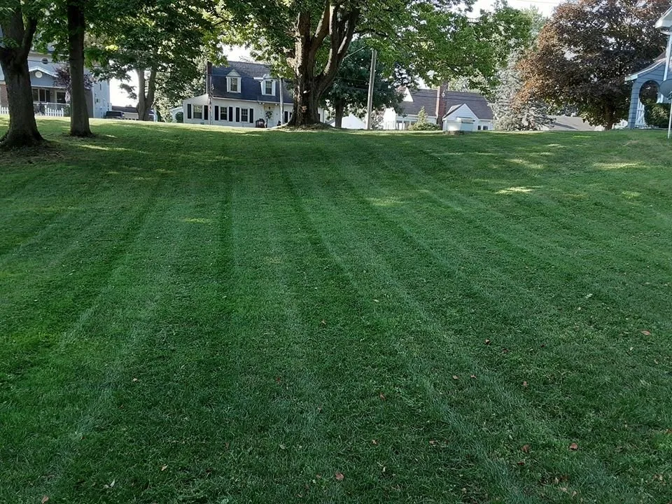 Reliable landscape design experts serving Gibsonburg, OH - Mud Creek Lawn Care