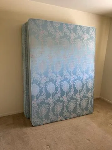 Reliable landscape installation for residential properties across South San Francisco, CA - Mud Dog Junk Removal