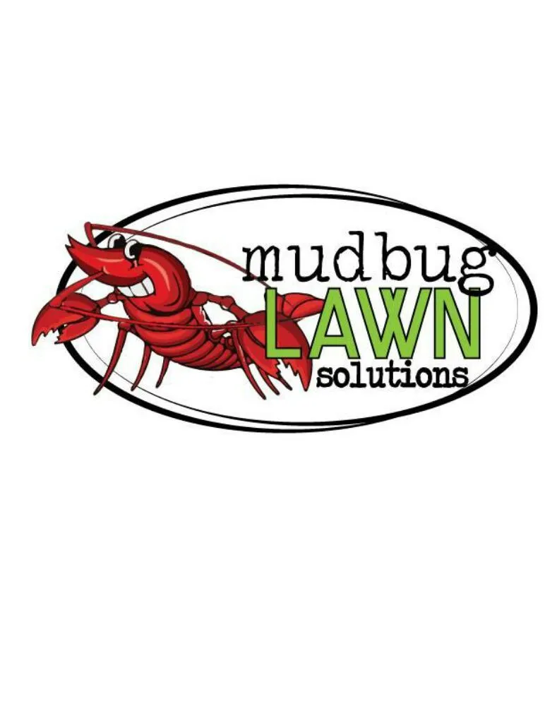 Expert yard cleanup service in Slidell, LA by Mudbug Lawn Solutions