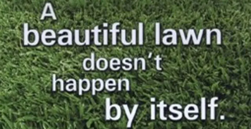 Expert landscaping services for outdoor upgrades in Slidell, LA by Mudbug Lawn Solutions