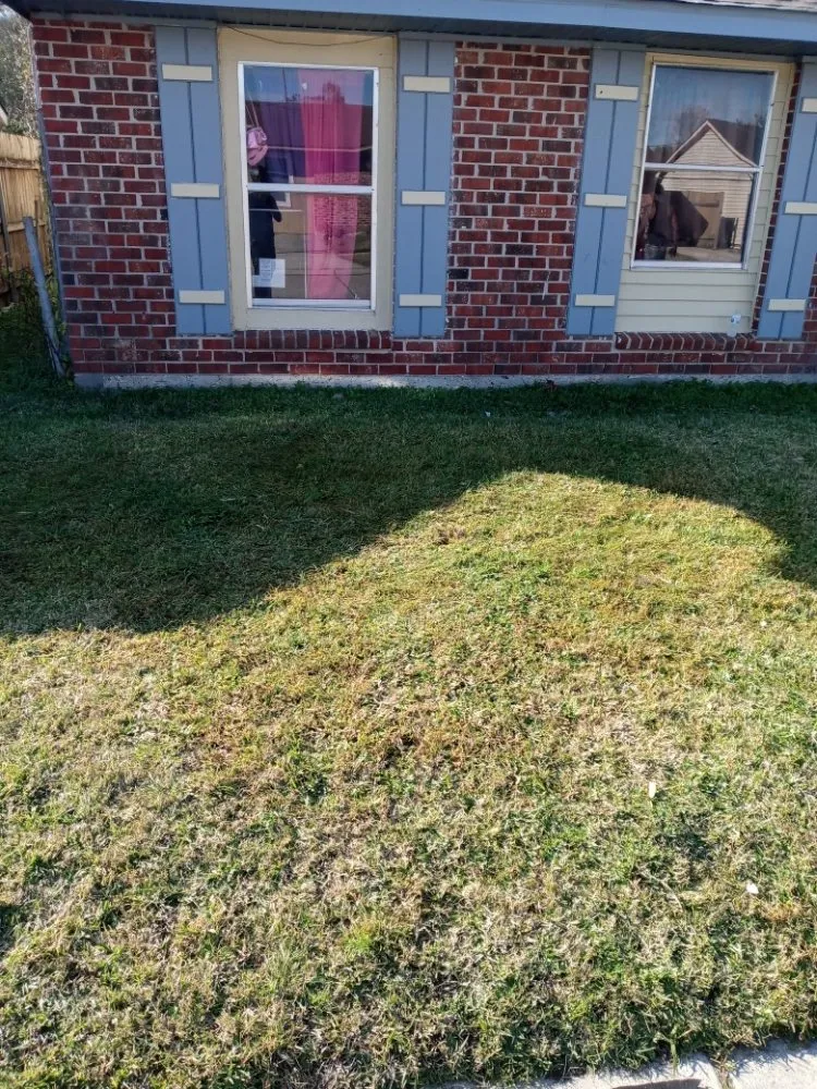 Top-rated yard maintenance for homes across Violet, LA - MuddBros Lawn Service