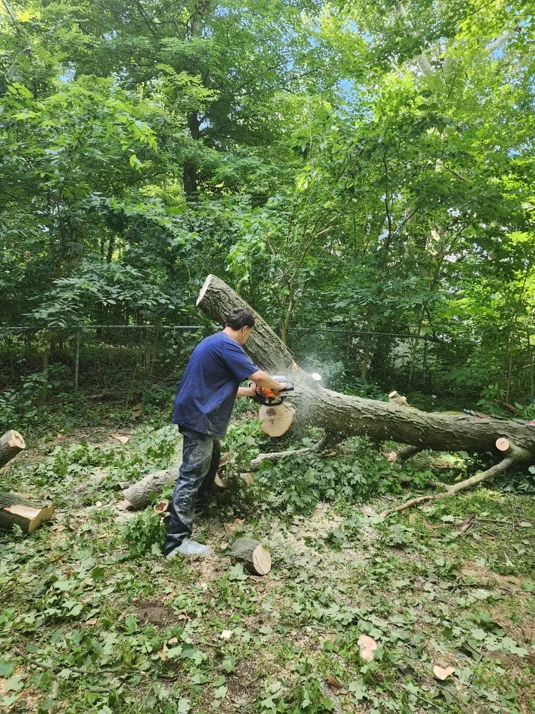 Local lawn care service in Warsaw, IN - Muddle Escapes