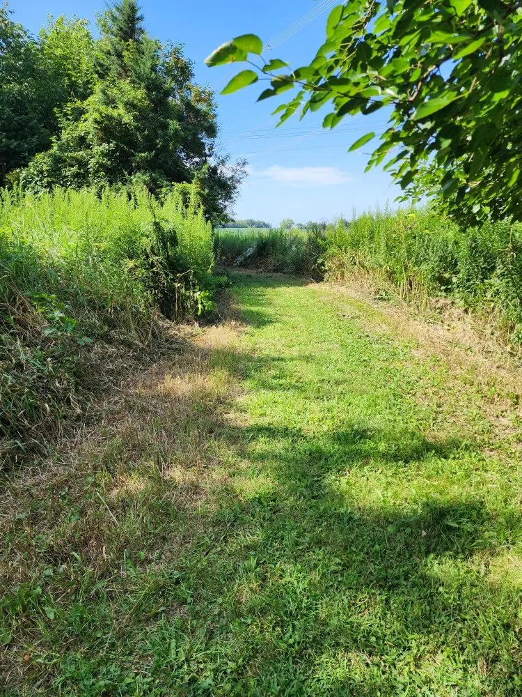 Affordable lawn mowing service in Warsaw, IN - Muddle Escapes