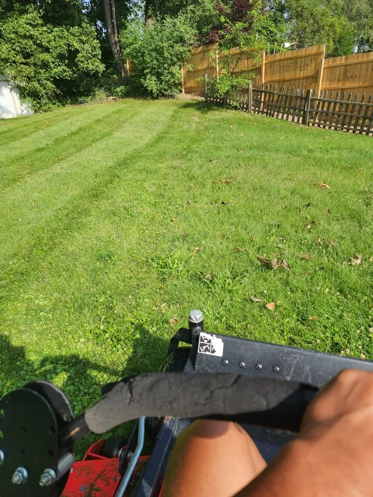 Custom yard cleanup service for residential properties in Warsaw, IN by Muddle Escapes