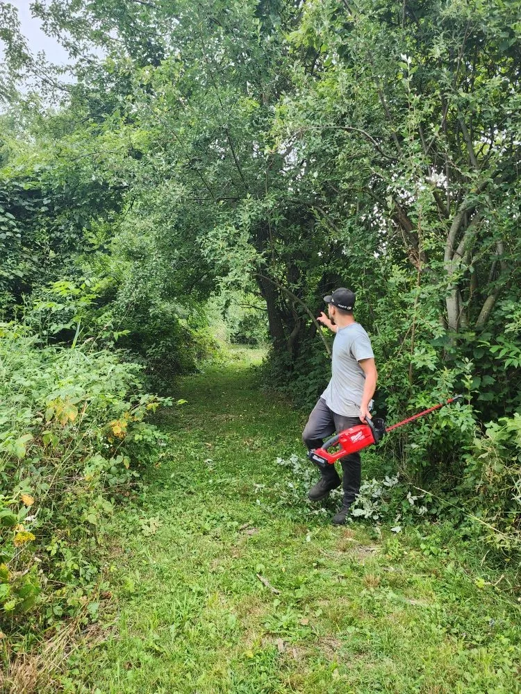 Reliable lawn mowing service for year-round maintenance across Warsaw, IN - Muddle Escapes