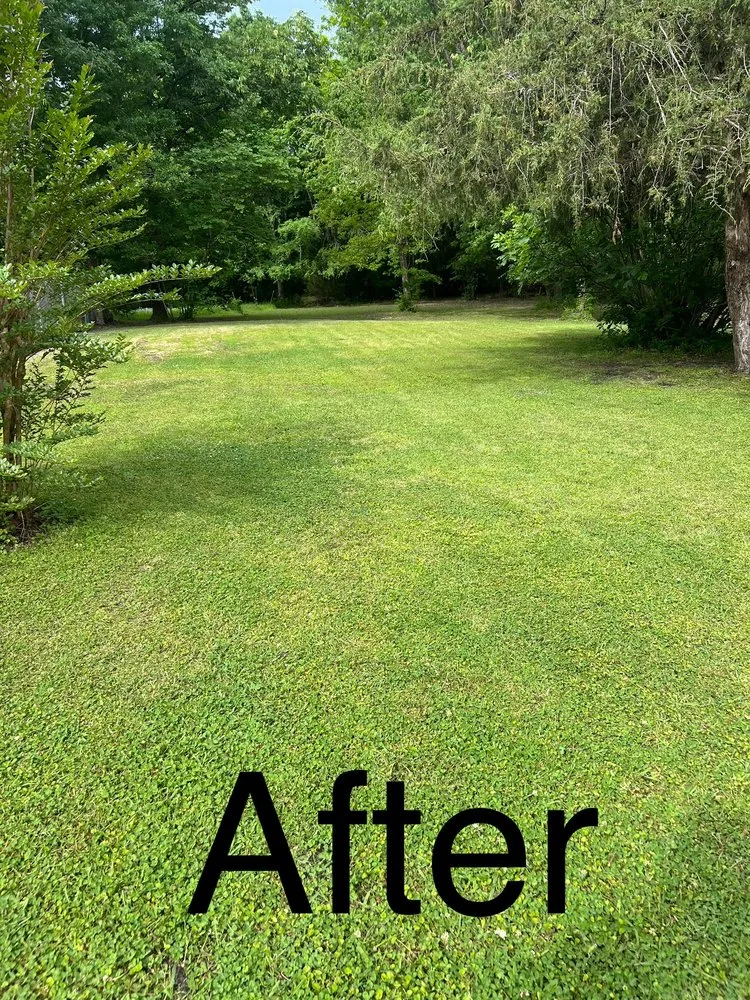 Expert yard cleanup service with custom design across Kathleen, GA - Muddy Boots Lawn & Landscaping