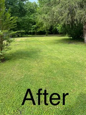Muddy Boots Lawn & Landscaping Logo