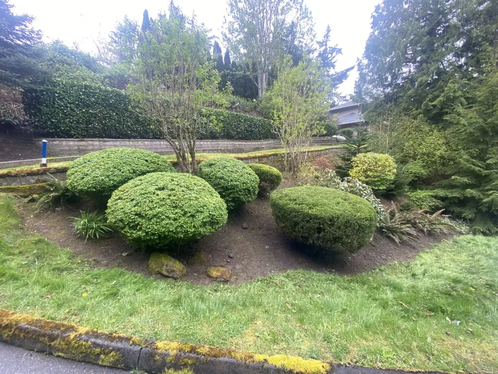 Custom lawn mowing service with custom design across Lynden, WA - Muddy Buddy Lawn Care