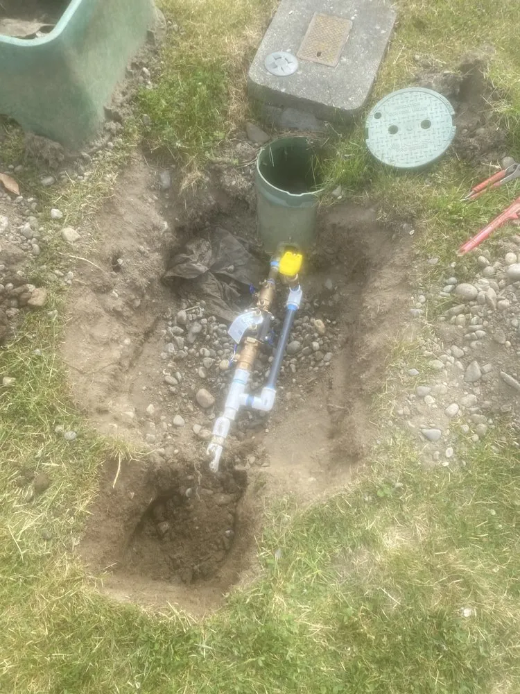 Expert yard maintenance for year-round maintenance in Lynden, WA by Muddy Buddy Lawn Care