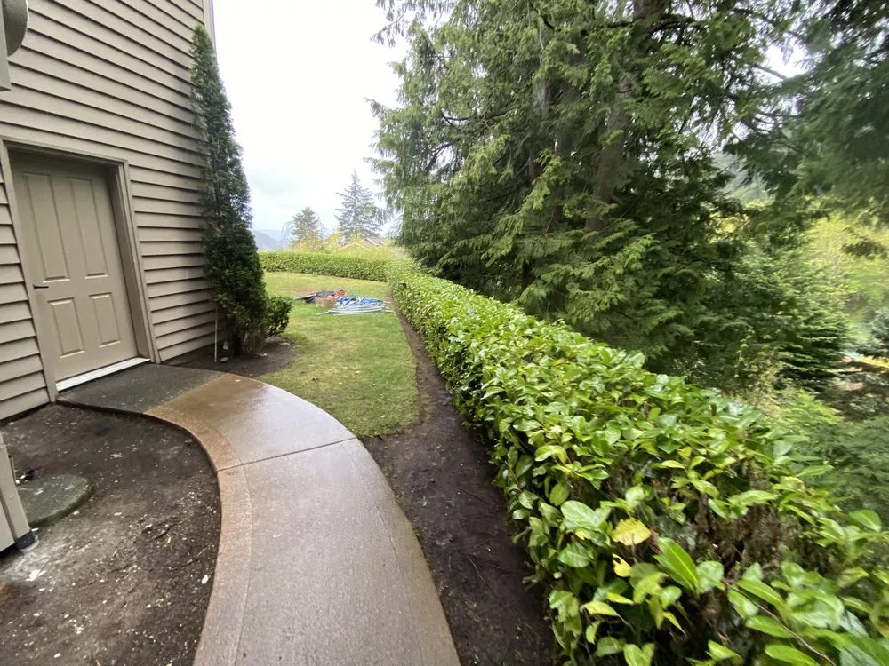 Local yard cleanup service for residential properties in Lynden, WA by Muddy Buddy Lawn Care