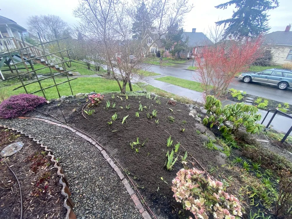 Affordable yard maintenance in Lynden, WA - Muddy Buddy Lawn Care
