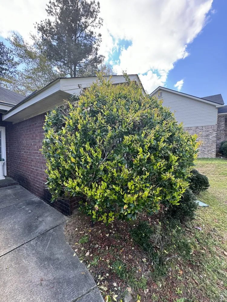 Affordable landscaping services experts serving Grovetown, GA - Muddy Creek Lawn Services