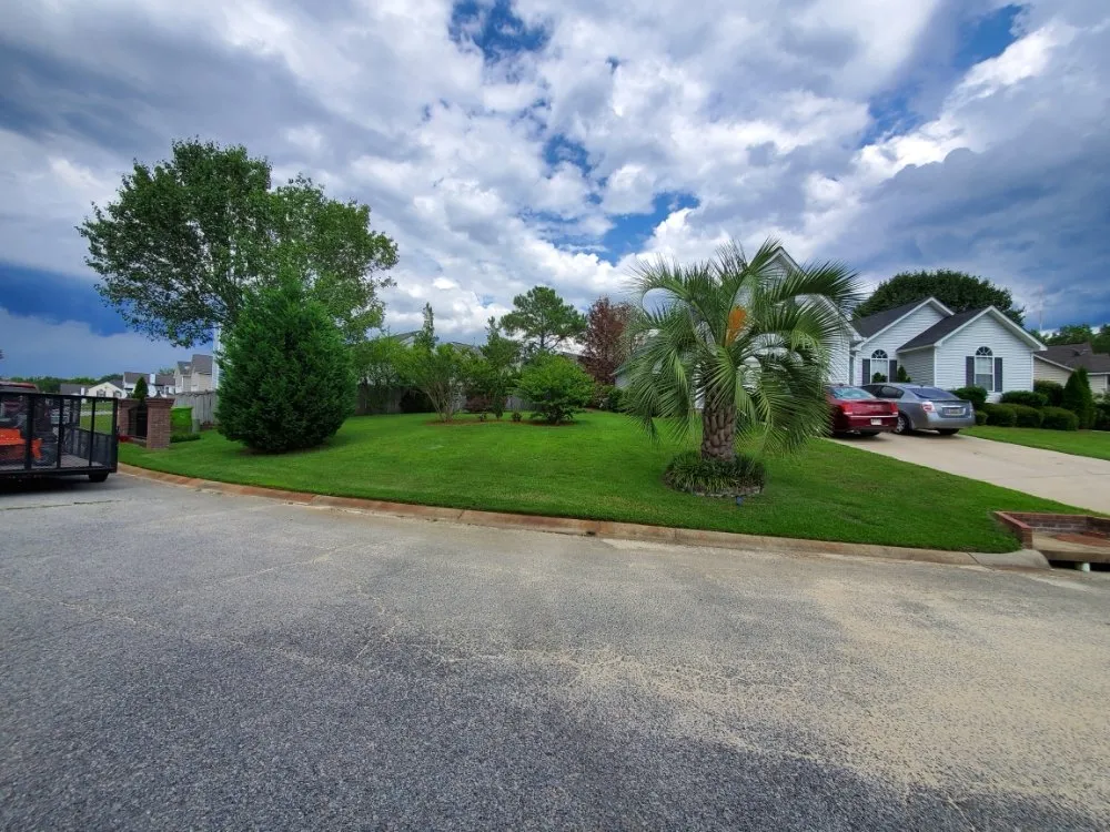 Reliable residential landscaping for year-round maintenance across Blythewood, SC - Muddy Paws Landscaping and Land Management